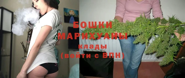гидра Арсеньев