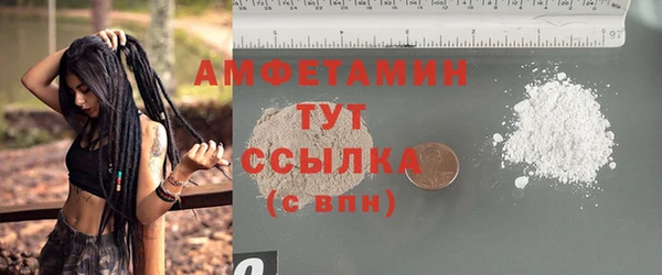 гидра Арсеньев