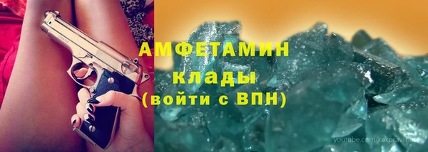 гидра Арсеньев