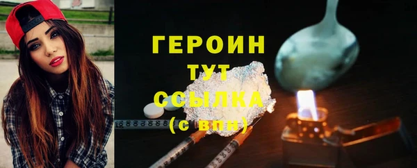 гидра Арсеньев