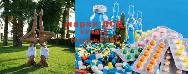 гидра Арсеньев