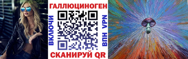 купить   Касимов  Галлюциногенные грибы Psilocybe 